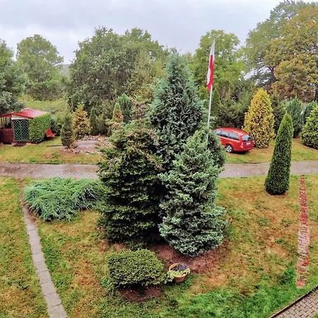 Zielone Kusin, * Niechorze